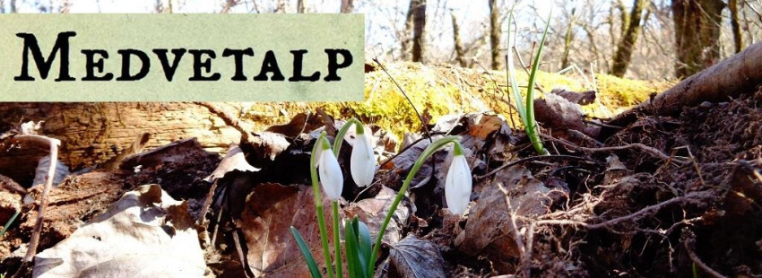 Medvetalp blog
