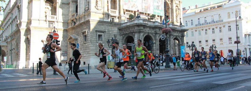 Szöllősi Renátó – Edző és sportoló