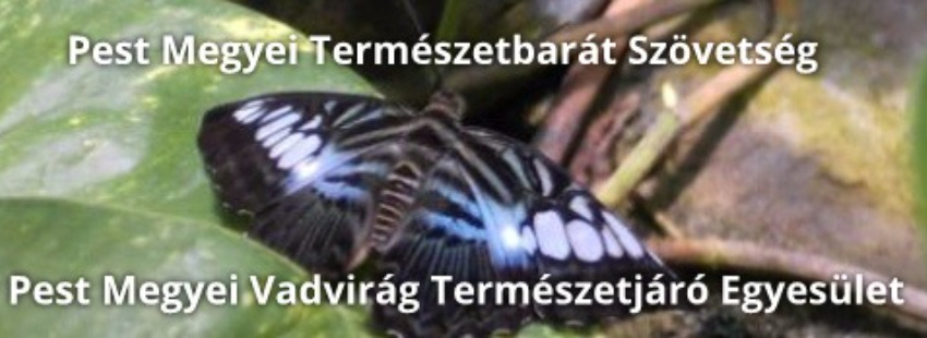 Pest megyei Vadvirág Természetjáró Egyesület