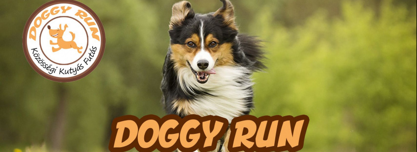 Doggy Run – Közösségi Kutyás Futás