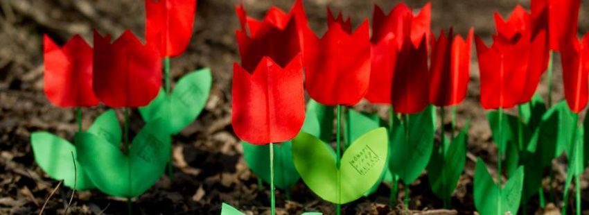 Nőnapi Virág Futás