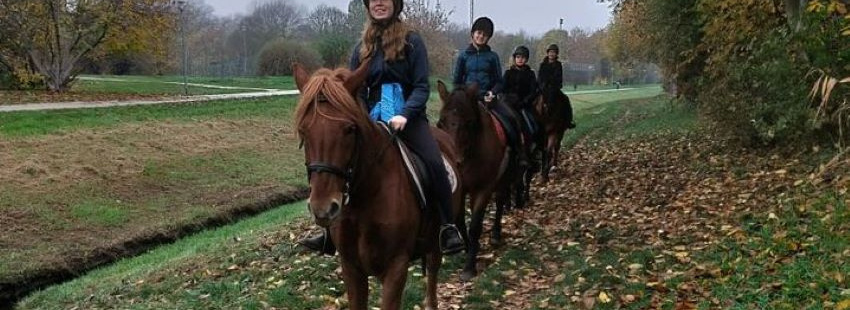 Kárpátia Lovasudvar Egyesület