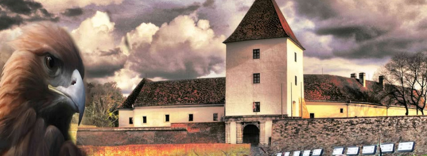 Sárvári Hagyományőrző és Íjász Egyesület