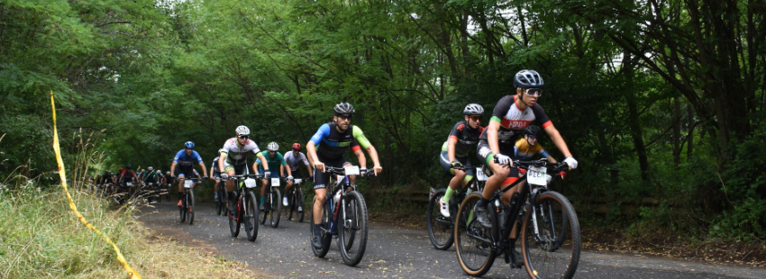 Nagy Sport Egyesület