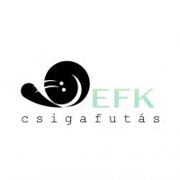 EFK CsigaFutás KSE