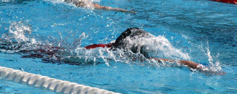 NYÁRI ÚSZÓTÁBOROK – 2023 - Darnyi Tamás Úszóiskola