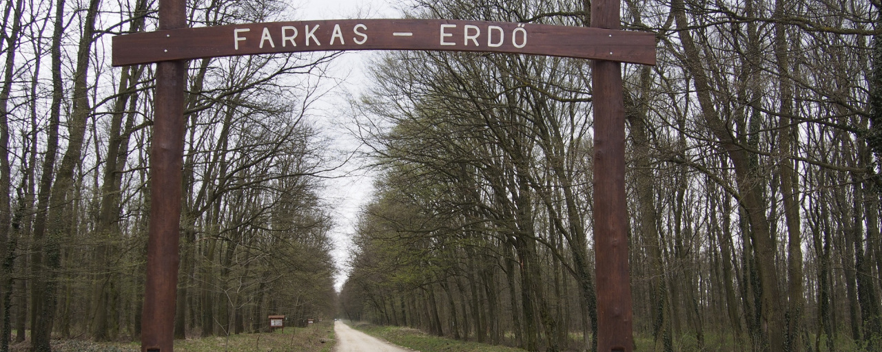 Farkas-erdő kívül-belül