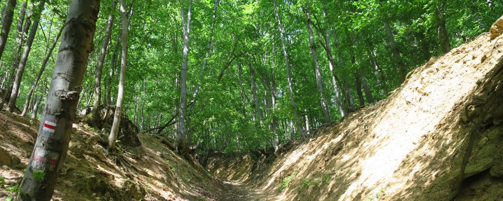 Eszperantó Zamenhof Emléktúra