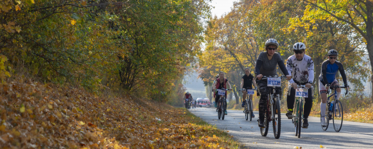 Balaton-Felvidéki őszi bringatúra