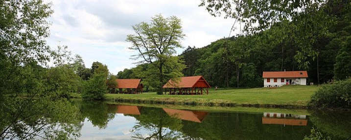 II. Trail Zone - Galya