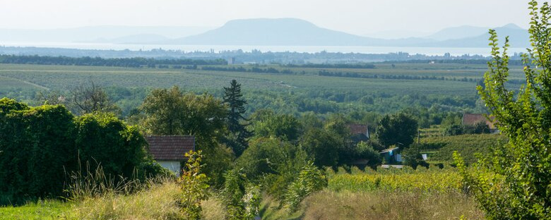 Garmin – Balatonlelle – Kishegy MTB Maraton