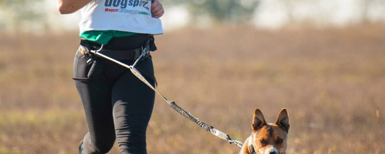 9. Szigetköz- Vének kupa