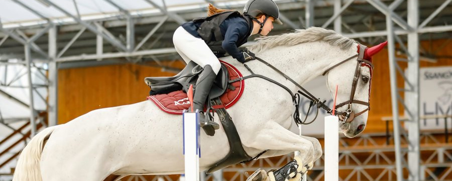 Országos Minősítő Díjugrató lovas verseny - Balatonvilágos
