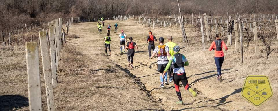 Bodri Trail