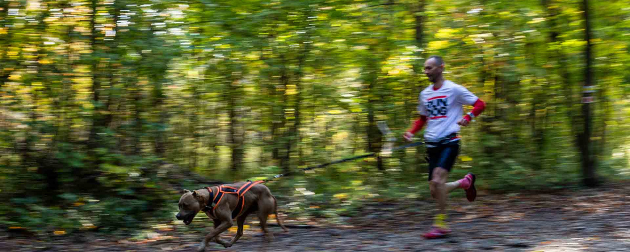 RUN DOG 2021 Tél Again Kutyás futóverseny