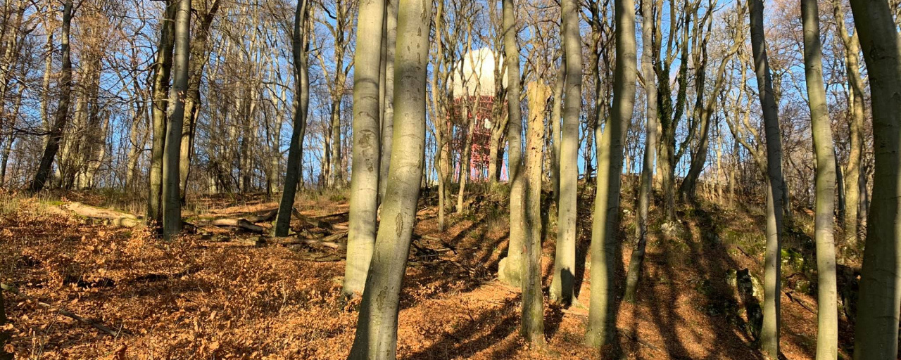 Trail Zone Bakonybél