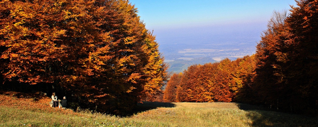 Mátrai Tekergés Novemberben