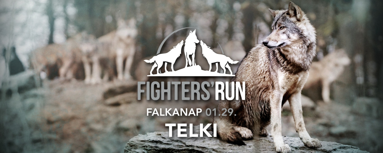 Fighters' Run Falkanap