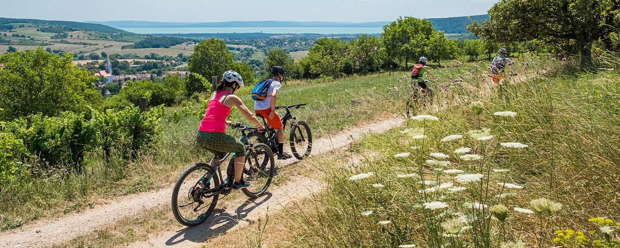 Fedezd fel profi elektromos kerékpárral a Velencei-tó panorámáját!