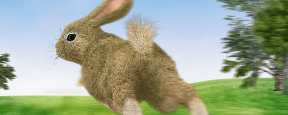 Húsvéti Locsoló Futás Veszprémben