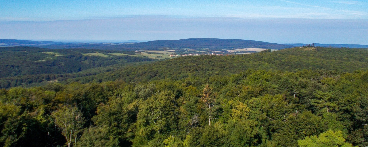 Bakony 600-as csúcsai