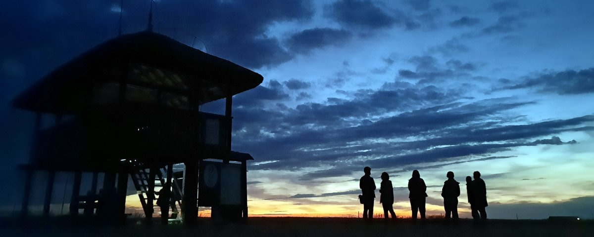 Szigetről Szigetre Éjjel