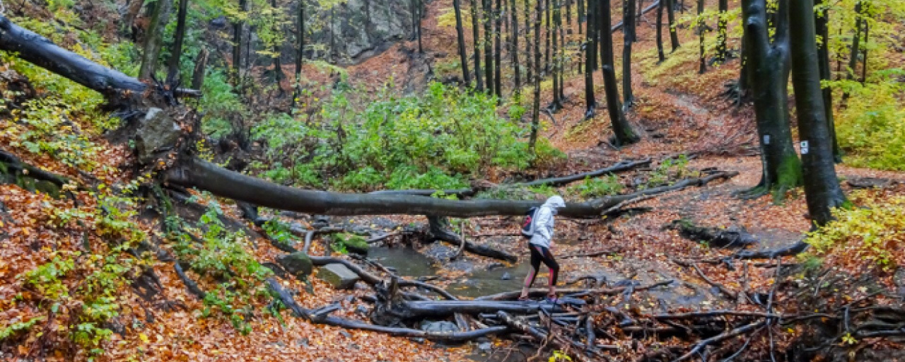 Barangolás a Keleti-Mátrában