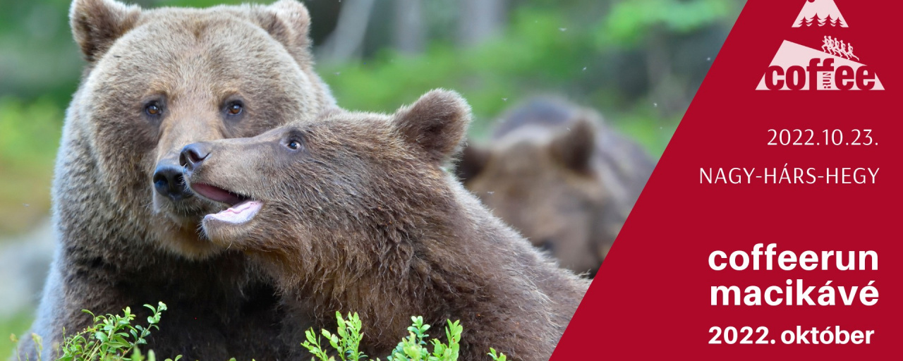 CoffeeRUN- Macikávé 2022/12 powered by Petja