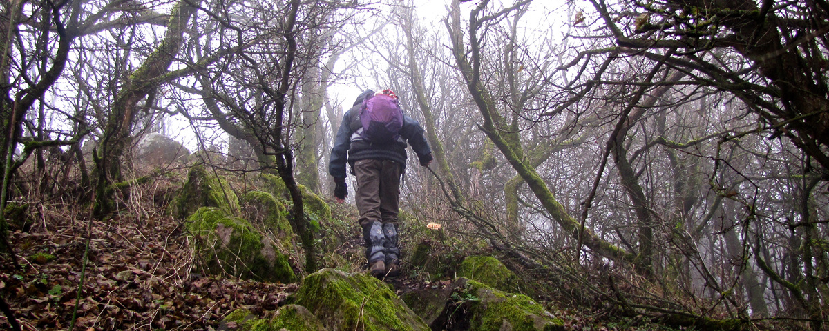 LELKEK Útja Teljesítménytúra a Börzsönyben