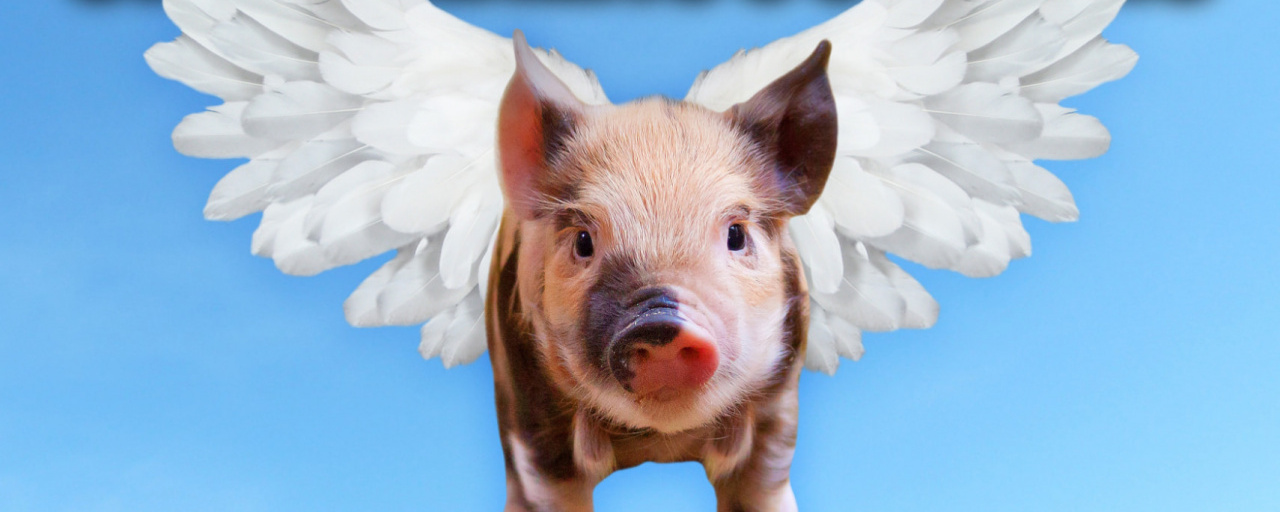 Újévi malacos futás 2023