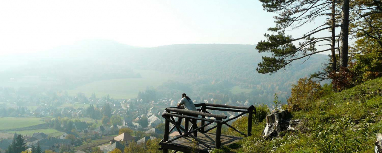 Medvehagymás Hajag - 10 / 20 / 40