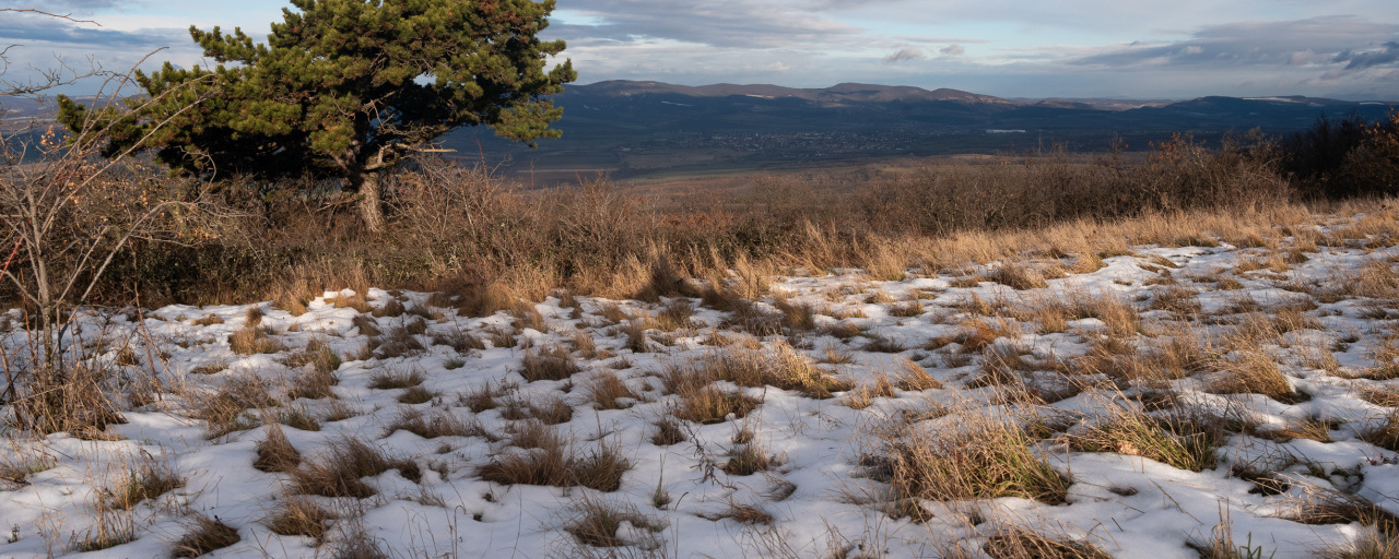 Barborská cesta V. (Szent Borbála túraút) - 20 (vezetett)