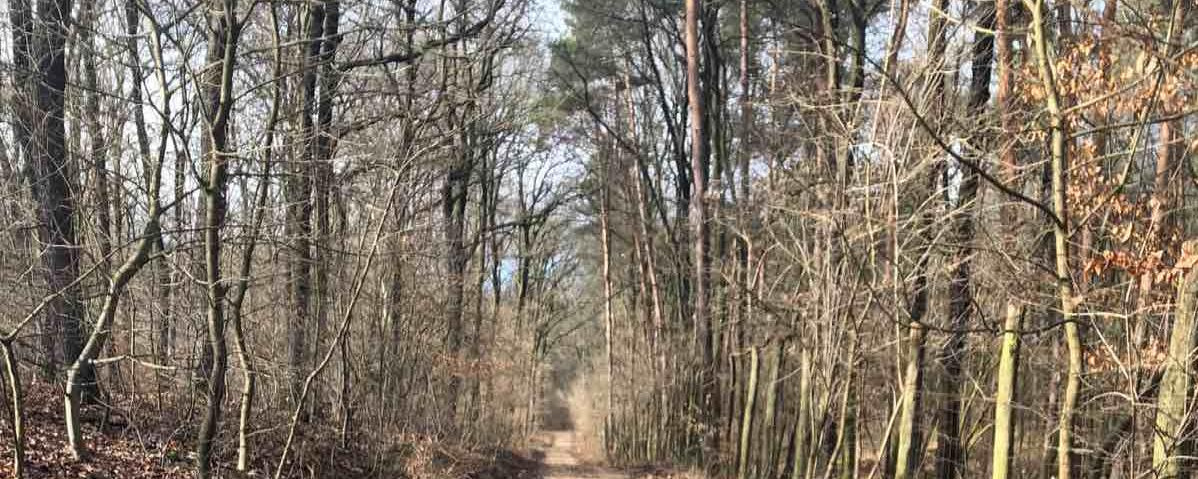 TÉLI Poroszkáló - Jókai Mór Emléktúra - 10 / 26