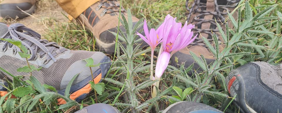 Tekeres-völgy - Maraton / 30 / 20 / Vámosi csiga-biga 10 / Vámosi Csiga-biga 3 / Karinthy 200