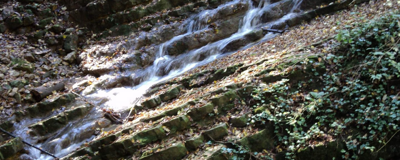 Mecsek - 50 / 30 / 15 / 10