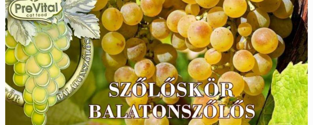 X. PreVital Szőlőskör – Jubileum