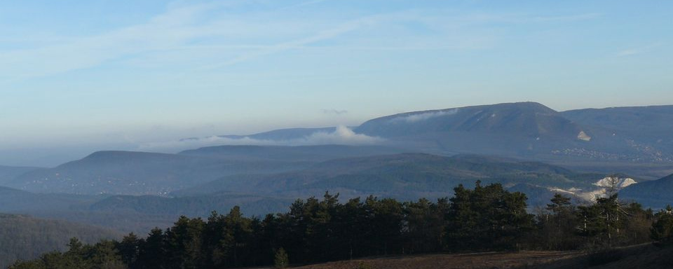 Buda Bércein - ÚJ körtúra útvonalak - 38 km / 25 km / Családi táv