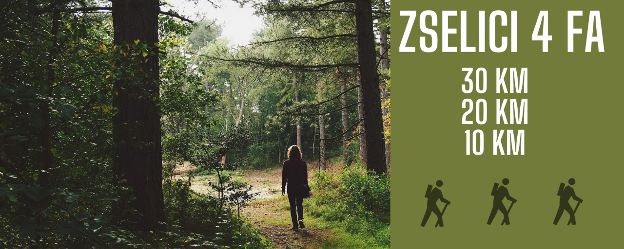 Zselici 4 fa - 30 km / 20 km / 10 km