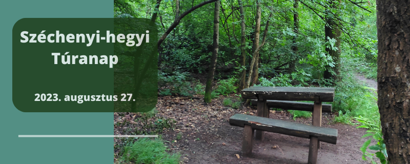 Széchenyi-hegyi Túranap - 20 / 8