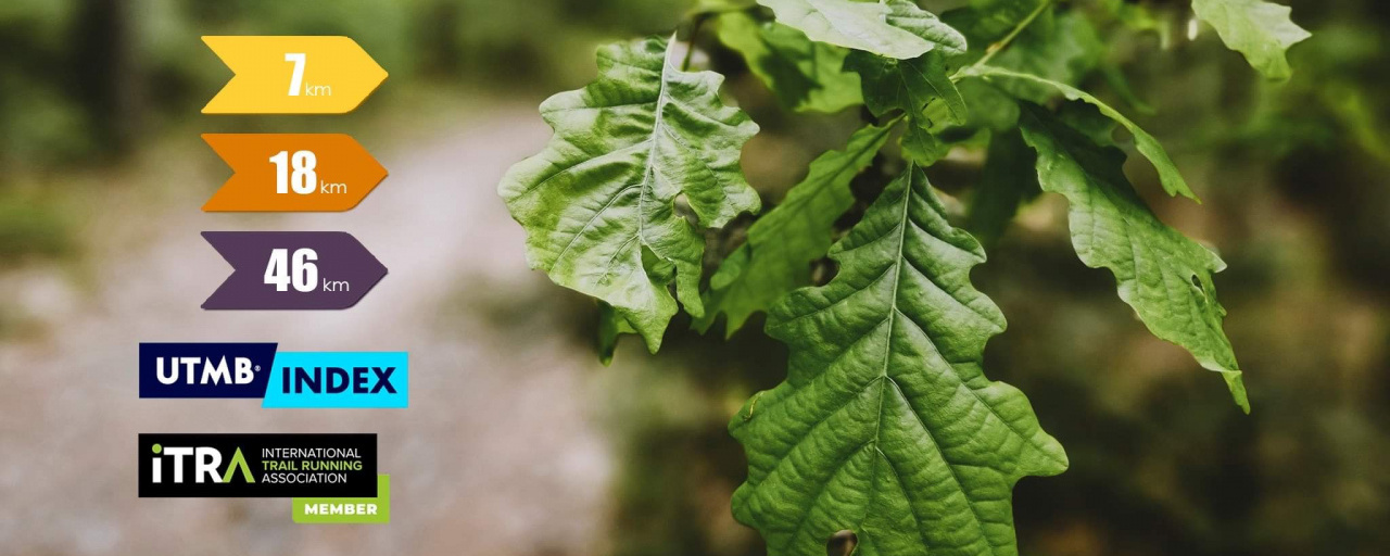 Írottkő Hegyi Futóverseny