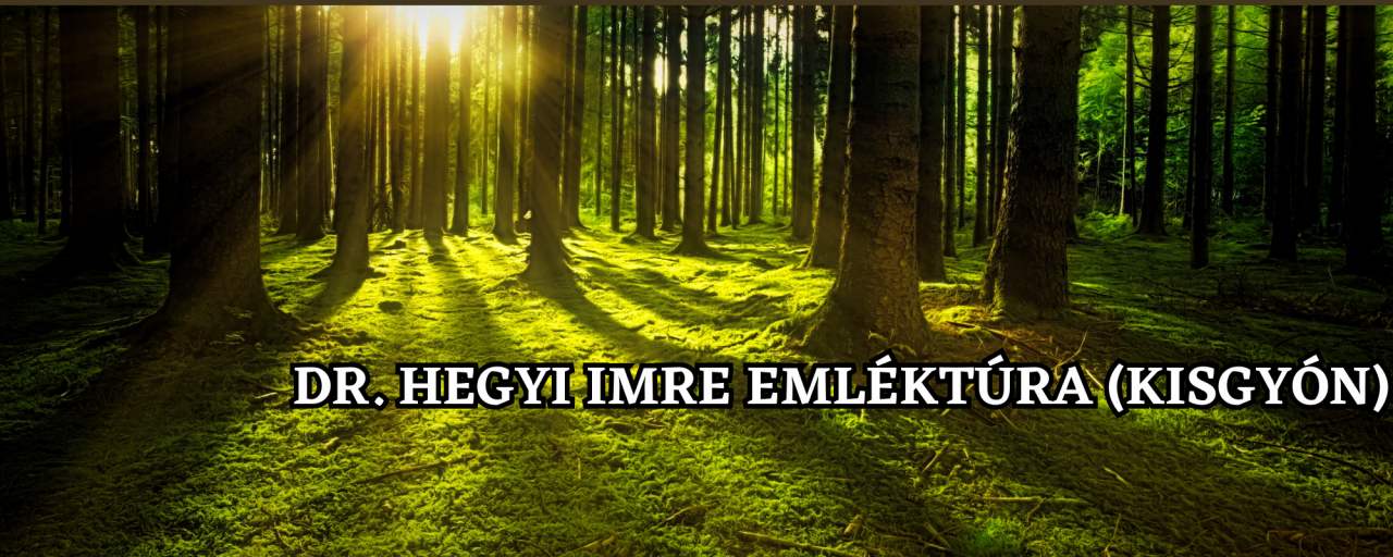 Dr. Hegyi Imre emléktúra (Kisgyón) - 30 / 20 / Tűzköves-árok 10 / Erdei Szentély (Kisgyón családi túra) 5