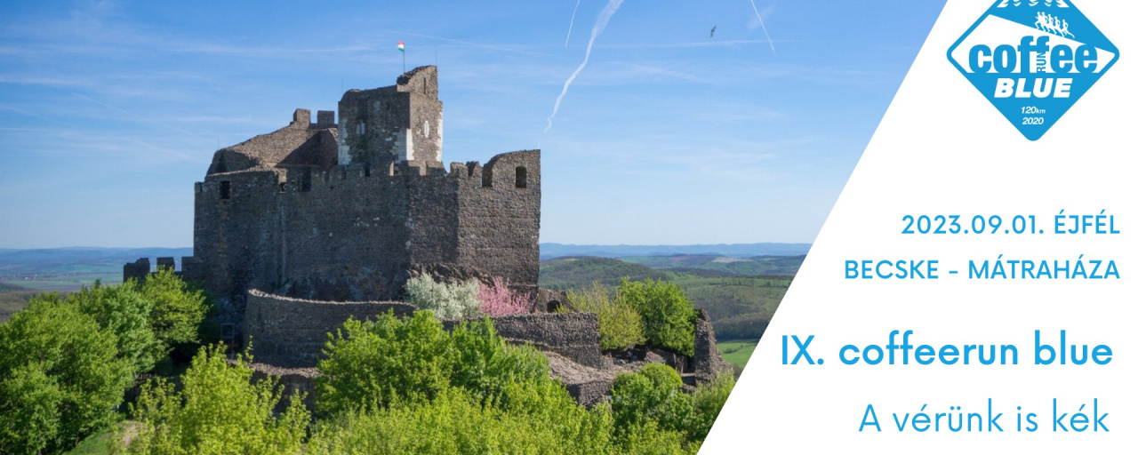 IX. CoffeeRUN Blue