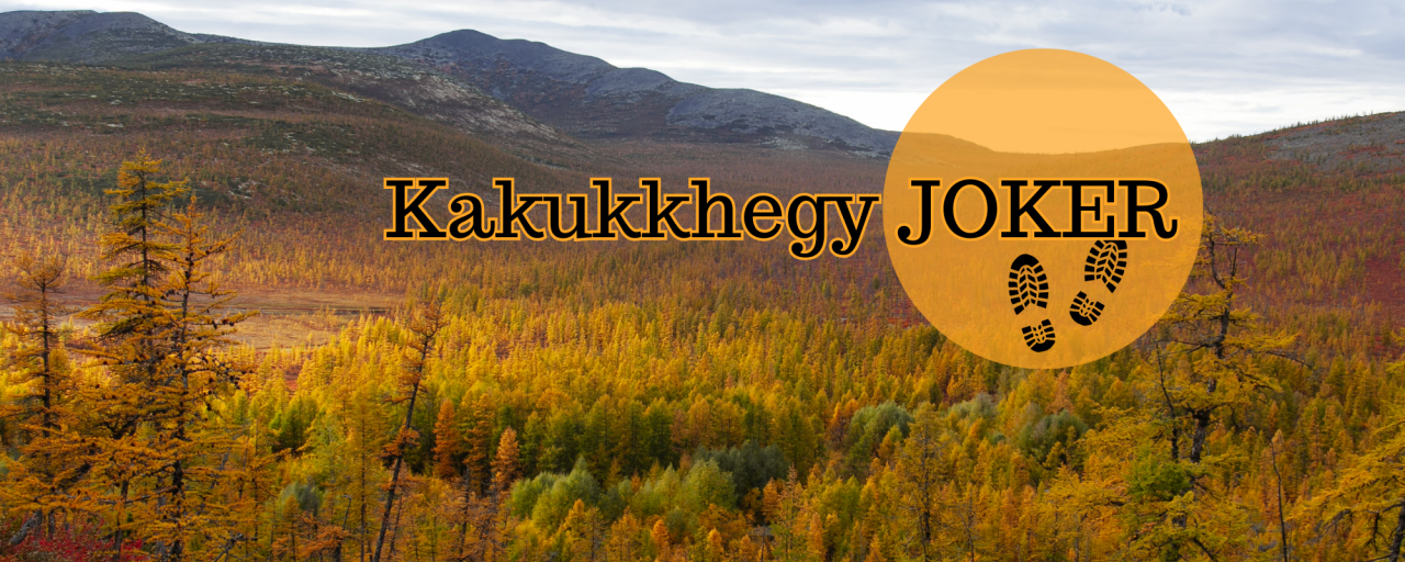 Kakukkhegy JOKER - 20,5 / 15,5 / 9,5