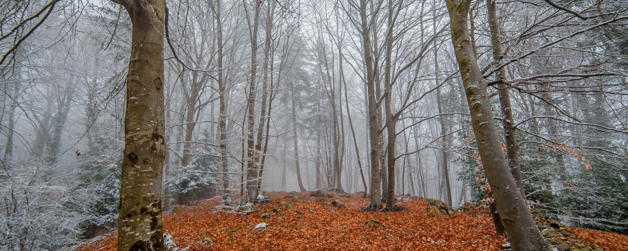 Galyatető kör - túra a Mátra ösvényein