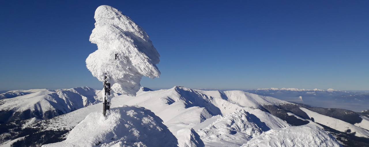 Alacsony-Tátra: Téli túra a Gyömbérre (2043m)