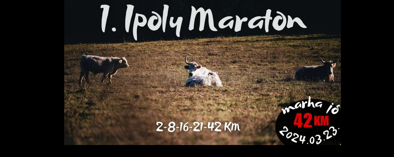 I. IPOLY MARATON