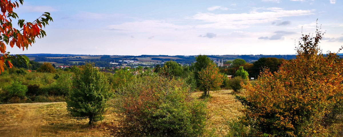 A Bakony Varázsa Túra
