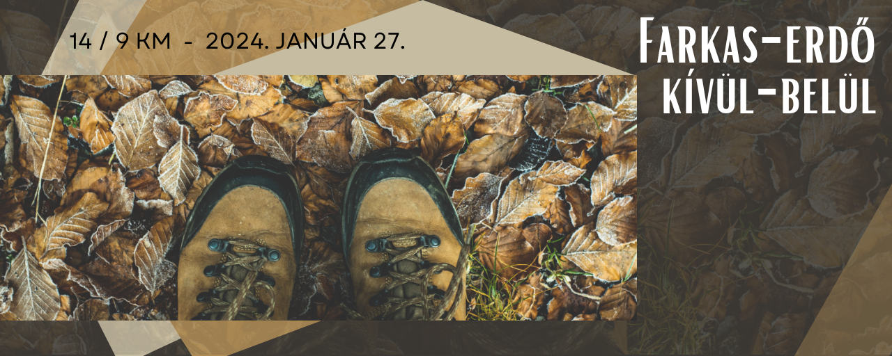 Farkas-erdő kívül-belül - 14 / 9