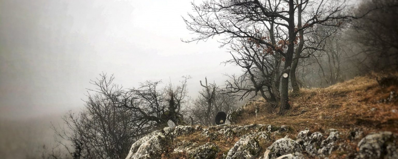 A Vértes kicsit Másképp Túra