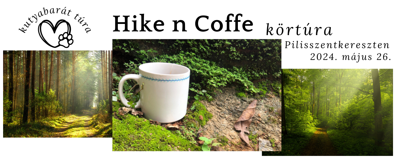 Hike n Coffee körtúra Pilisszentkereszten